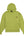 BRVN Phoenix Hoodie